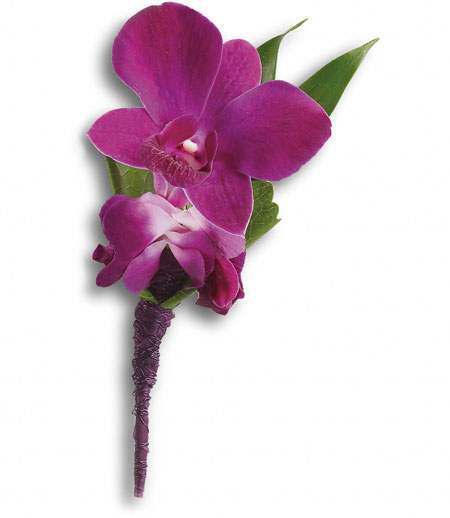 Parfait orchidée pourpre boutonnière - Terrafolia Flowers