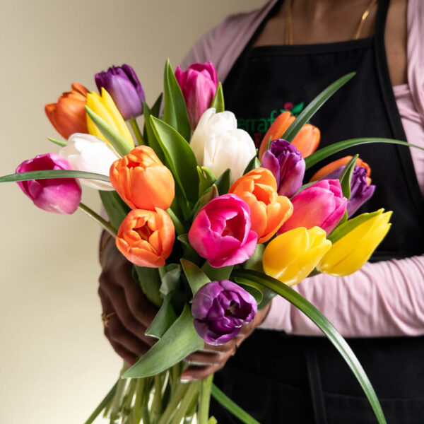 Colorful Mixed Tulips - Image 3