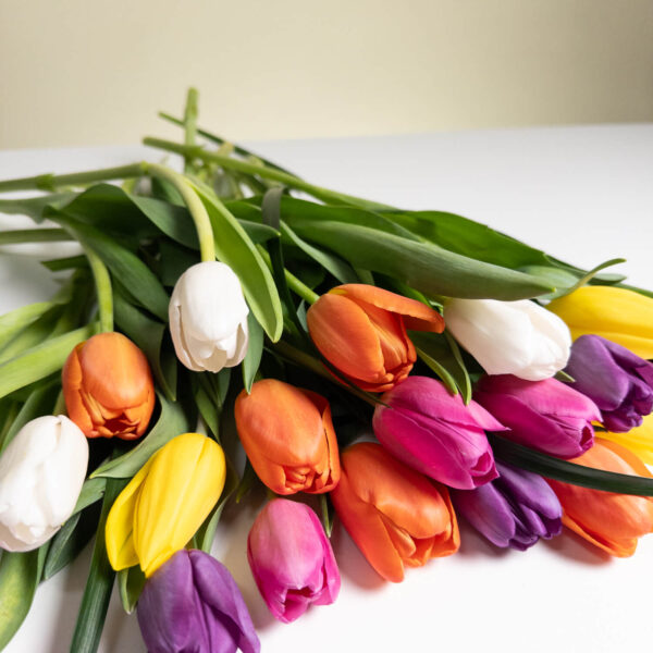 Colorful Mixed Tulips - Image 4