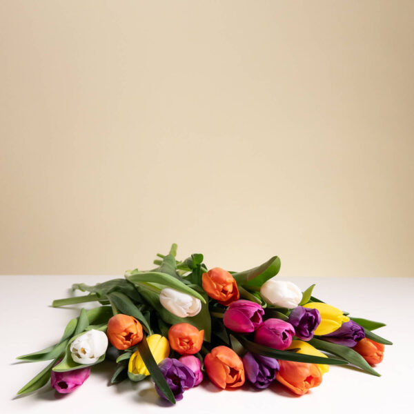 Colorful Mixed Tulips