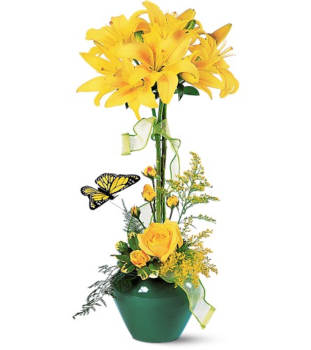 Lily Topiary-2670