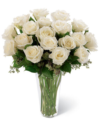 18 White Roses