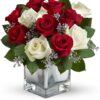 Snowy Night Roses