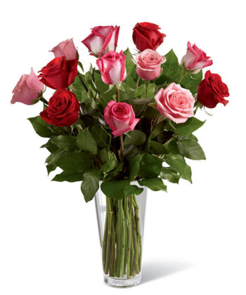 Long Stem True Romance Roses-0