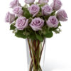 12 Lavender Roses