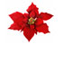 Poinsettia