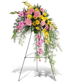 Pastel Crescent Spray