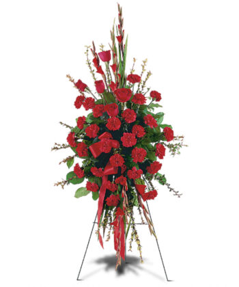 Red Regards Spray
