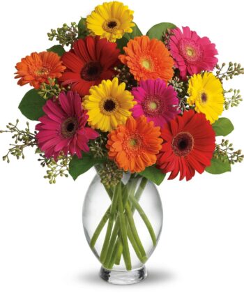 Gerbera Brights Bouquet