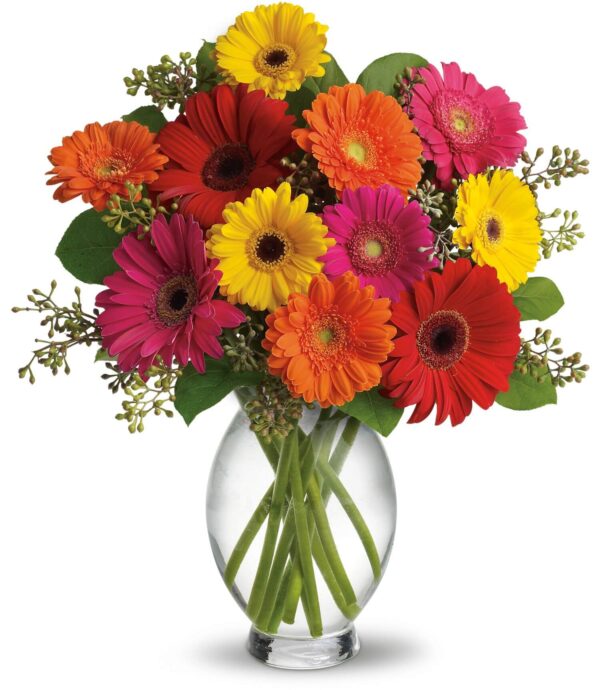 Gerbera Brights Bouquet