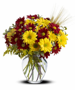 Fall for Daisies Bouquet