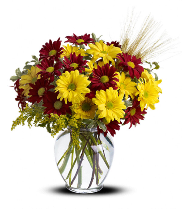 Fall for Daisies Bouquet