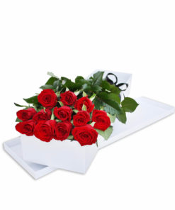 12 Long Stem Red Roses Box