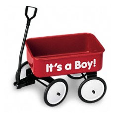 Baby's Wow Wagon - Boy-3762