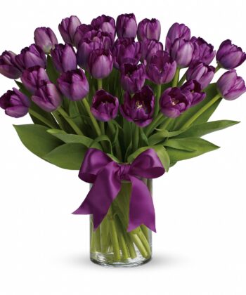 Passionate Purple Tulips