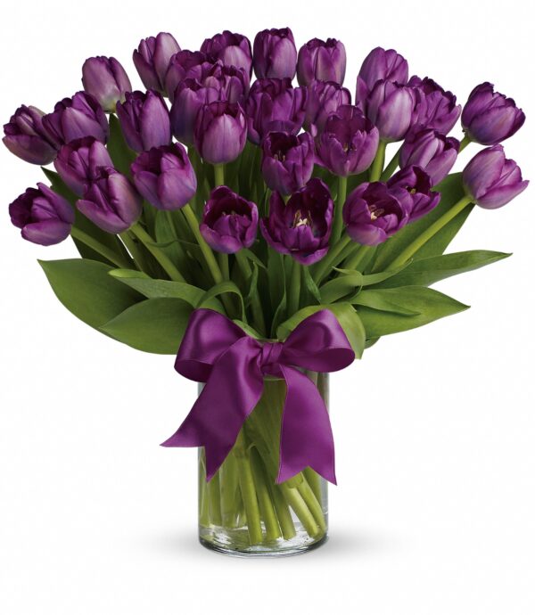 Passionate Purple Tulips