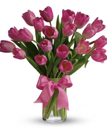 Precious Pink Tulips