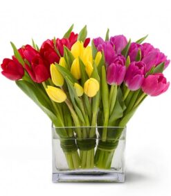 Les tulipes ensemble