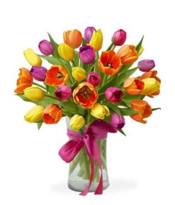 Sunny Tulips
