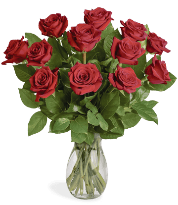 12 Long Stem Red Roses