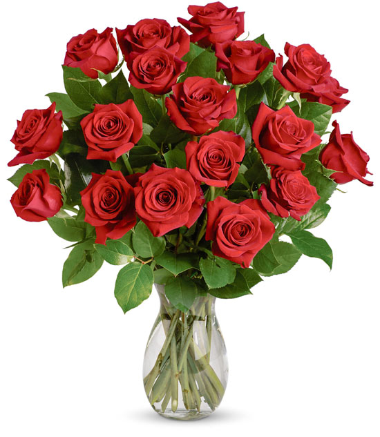 18 Long Stem Red Roses